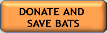 donate and save bats button-smaller
