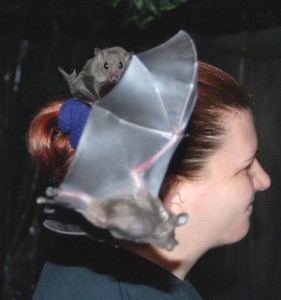 Peekaboo and Edward games Peekaboo and Edward games