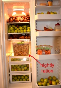old fridge packed