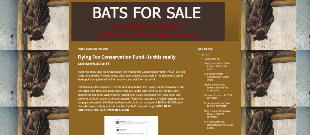 bats for sale
